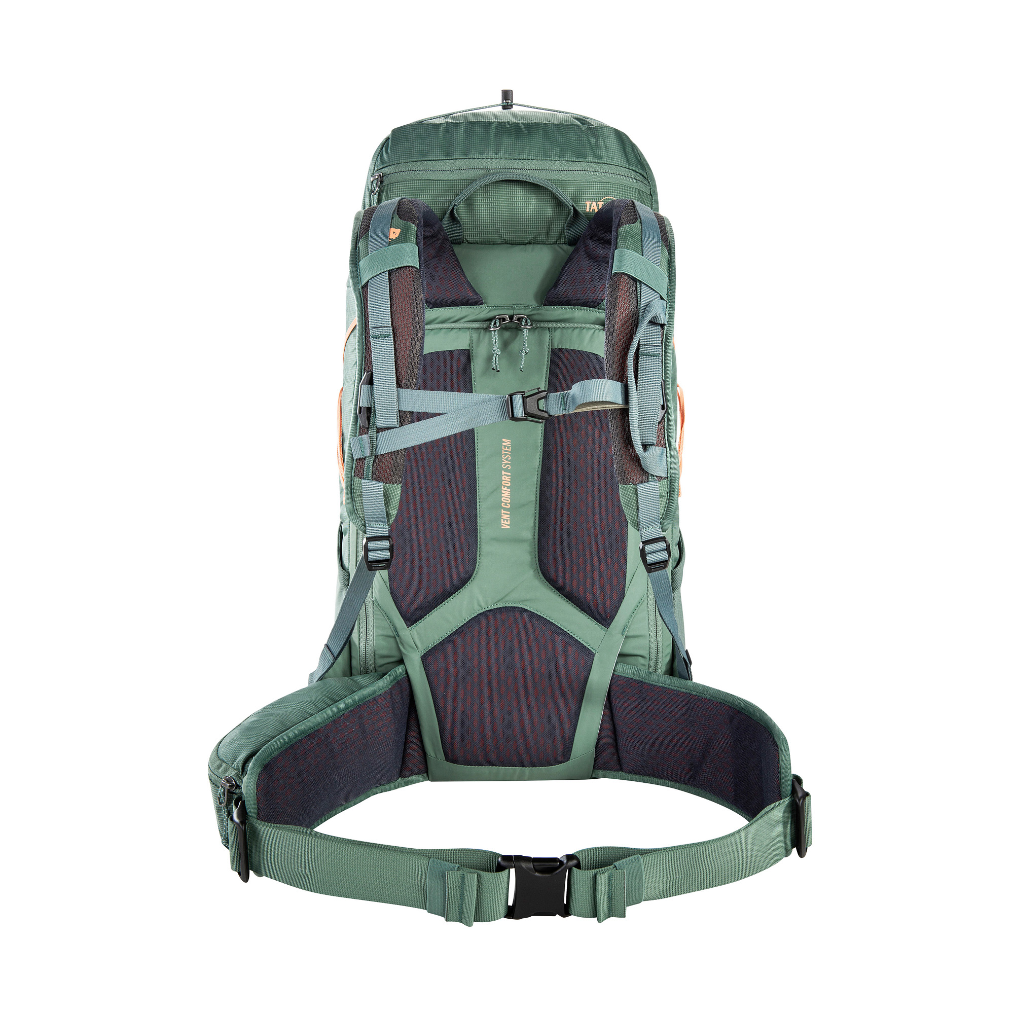 Tasche, Rucksack, Tatonka Norix 31 Women sage green grün Trekkingrucksäcke - Ansicht frontal-hinten
