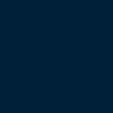 020 navy blue
