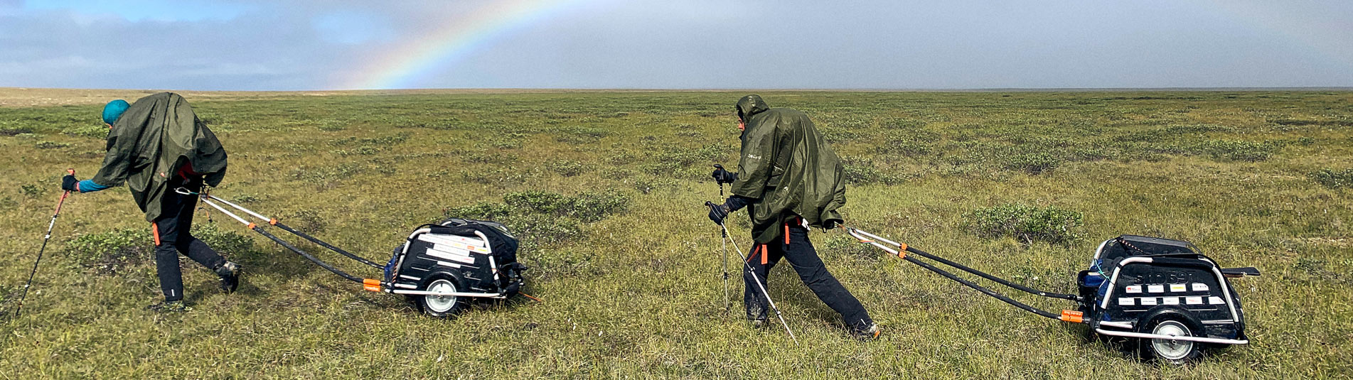 Regenponchos von Tatonka