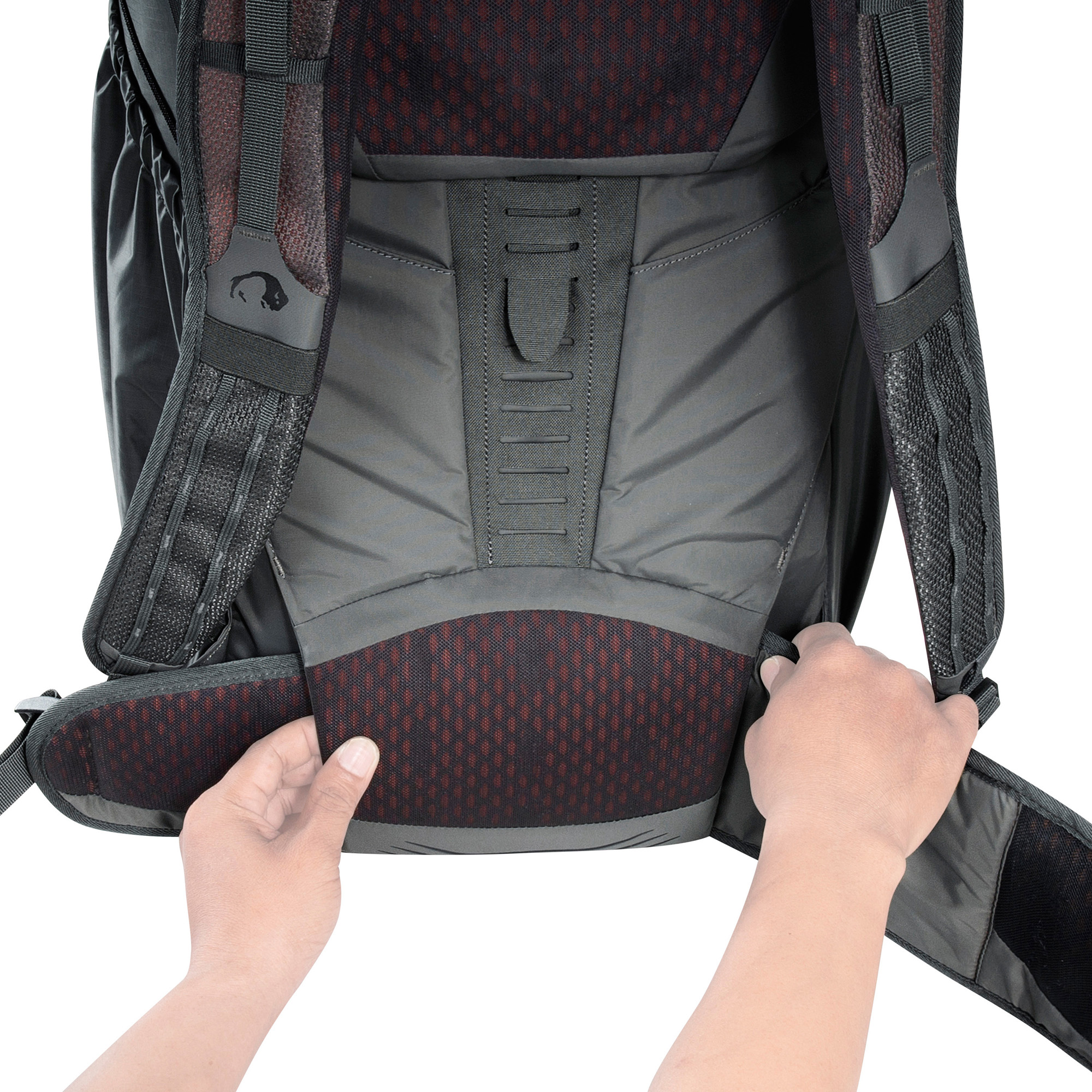 Rucksack, Rucksack-Geschirr, Rückenparti e, Gepäcksystem, Gepäckgurt, Tatonka Pyrox Lite 48+10 titan grey grau - Detailansicht