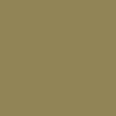 343_1-khaki