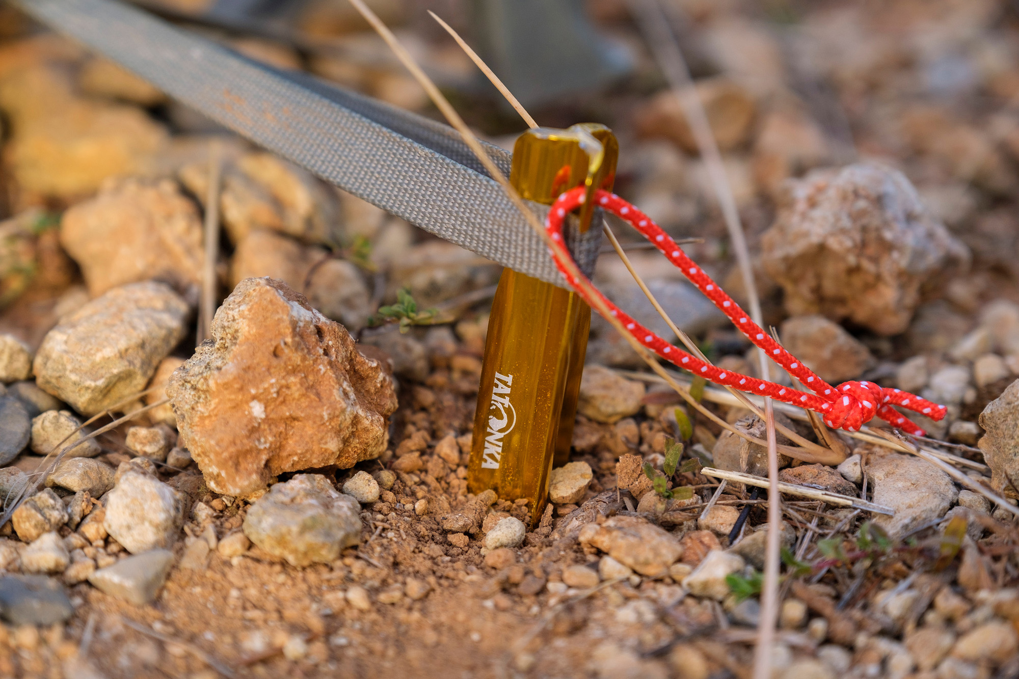 Schutt, Fels, Kies, Straße, Waffe, Tatonka Zelthering / tent peg pro 25cm 6pcs gold  Zelt- & Tarpzubehör - Detailansicht