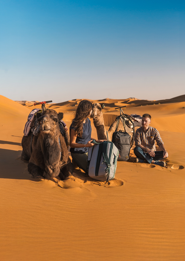Kamel, Wüste, Reise, Koffer, Paar Mann Frau, Kamel, Kamelträger, Wüstenlandschaft, Rucksack, Reiseset, Wüstenkamel, Kamel, Rucksack, Wandern, Sanddünen, Wüstenreise, Kamel, Rucksack, Camping, Sanddüne, Kamel, Wüstensand, Kleidung, Rucksack, Person,