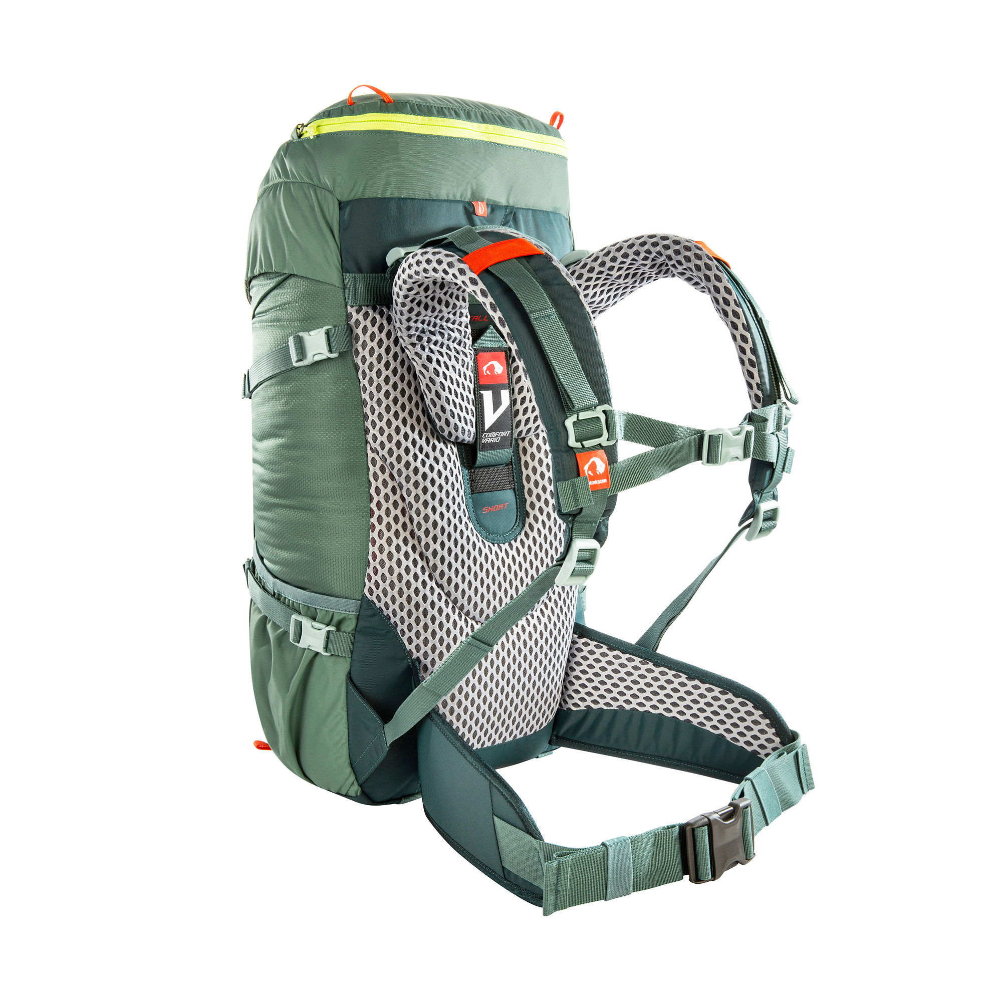 Tasche, Rucksack, Tatonka Yukon JR 32 sage green grün Trekkingrucksäcke - Ansicht seitlich-hinten