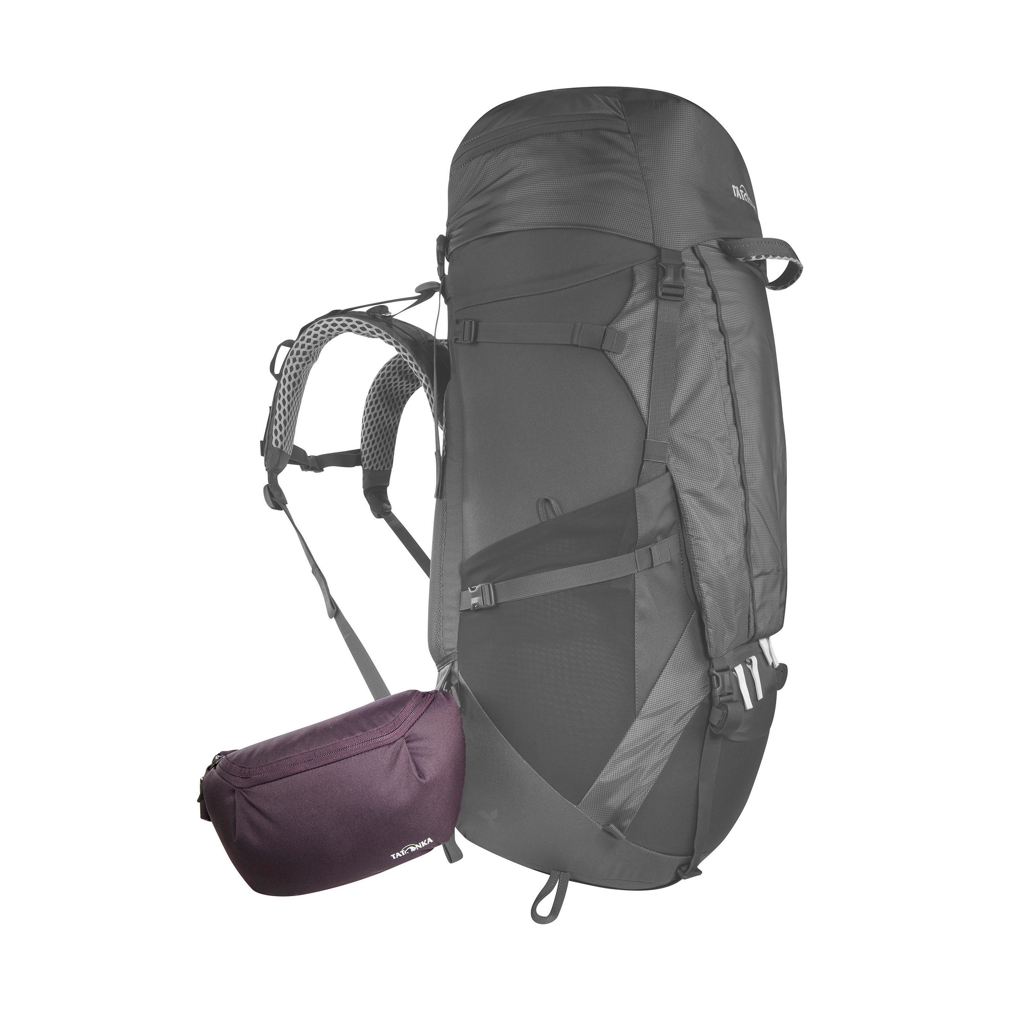 Tasche, Rucksack, Tatonka Hip Belt Pouch midnight plum lila Bauchtaschen - Detailansicht